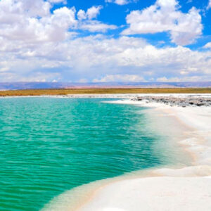 Laguna Cejar, Laguna Tebenquiche y Ojos del Salar