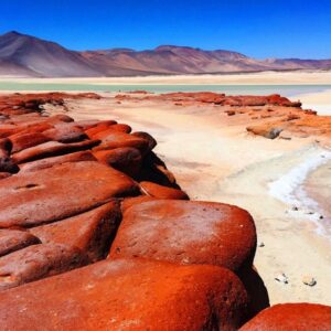 Piedras Rojas, Lagunas Altiplánicas y Laguna Chaxa